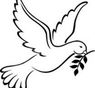 Gain peace in Islam become a Muslim today