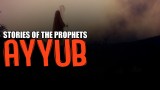 Story of Prophet Ayyub