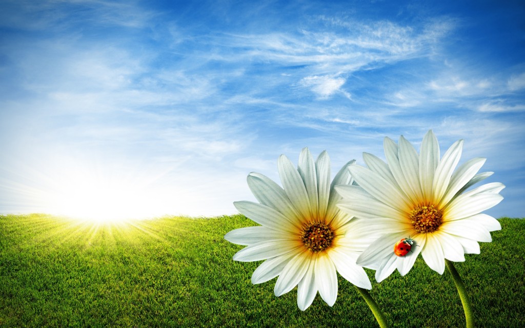 arrtibutes of the people of paradise