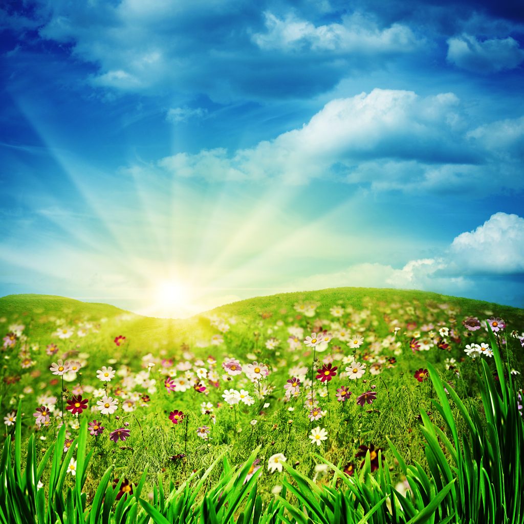 How to Heighten Spirituality through Mastery of Science